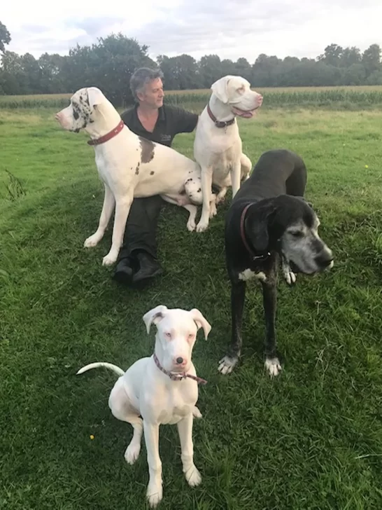 Підтримка під час збору коштів