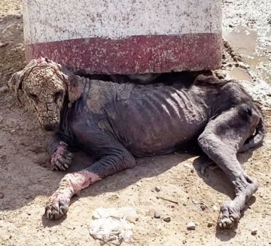 Изображение места события