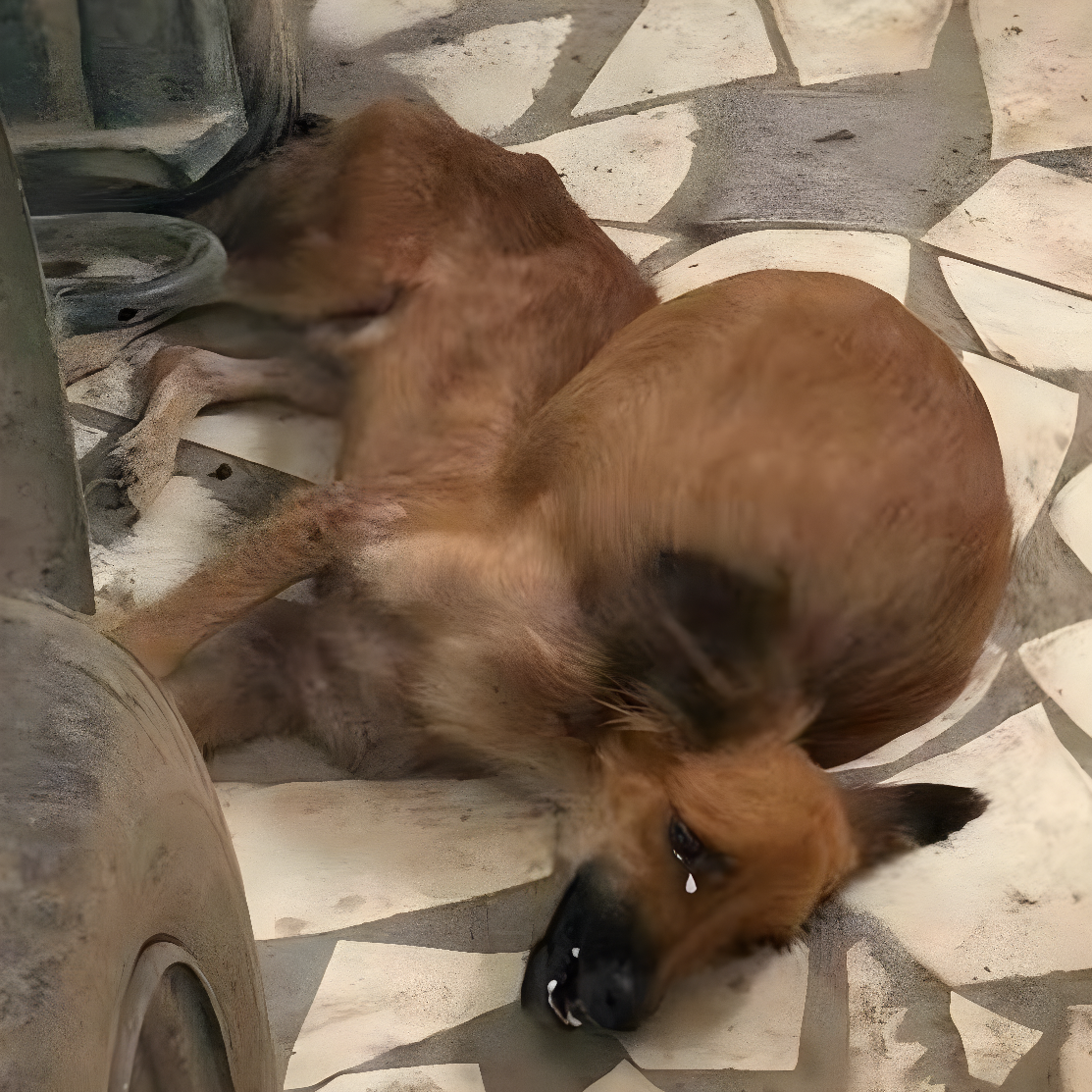 Фото з місця порятунку