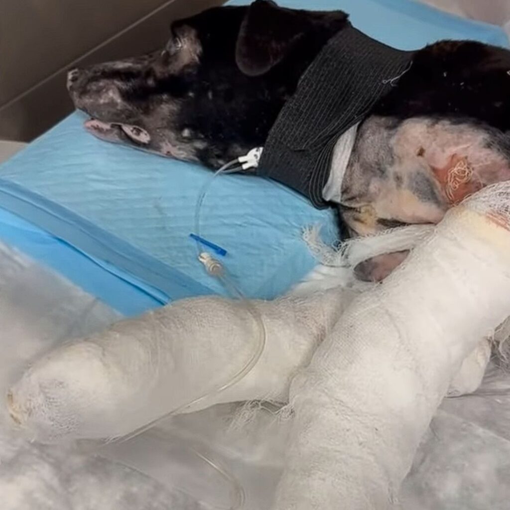 Кама у клініці