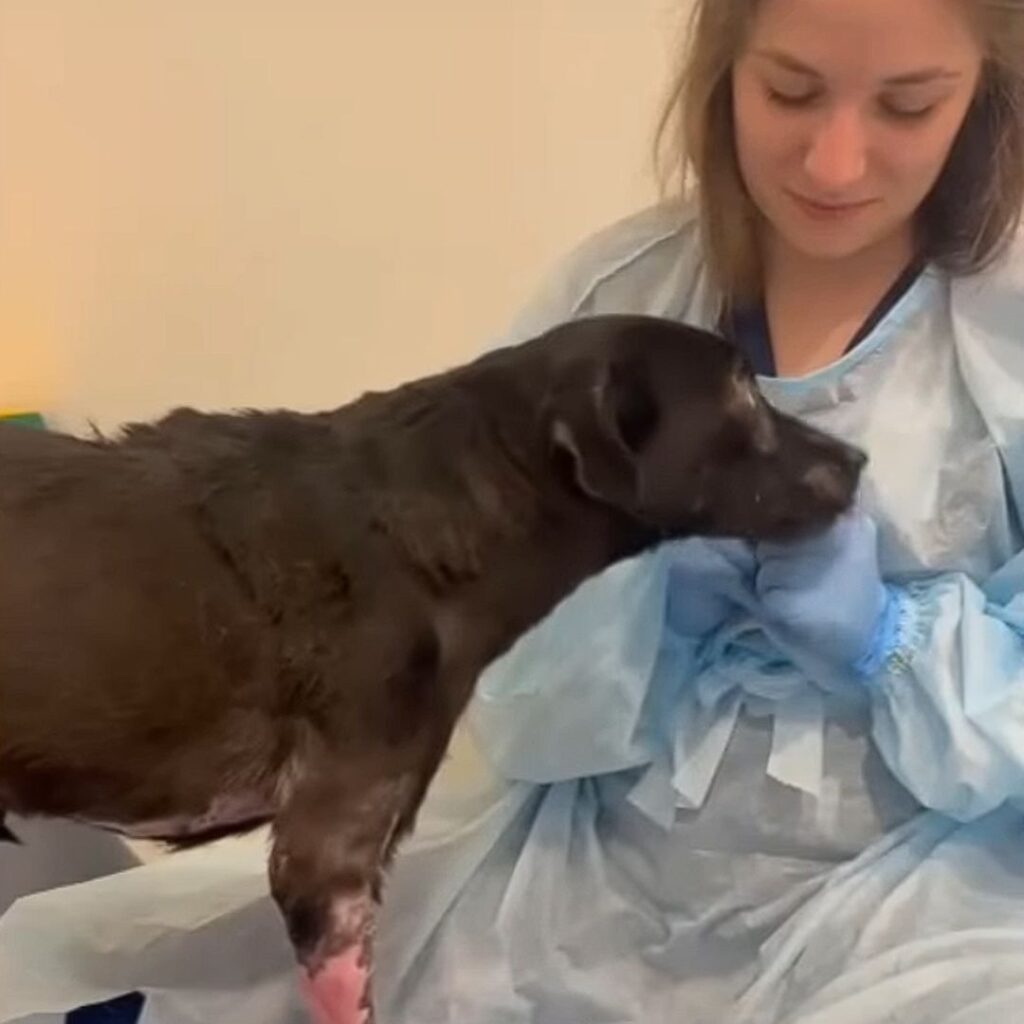 Персонал з Камою