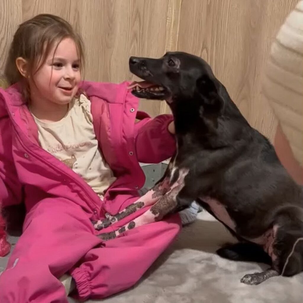 Кама в новому домі