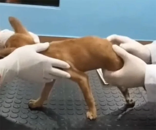 Момент турботи