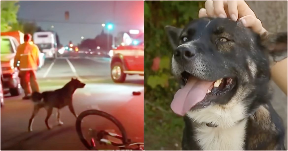 Головне фото історії