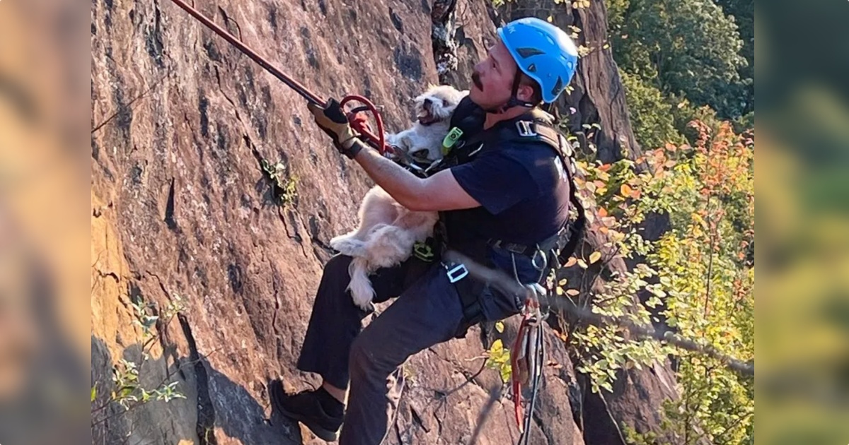 Пожарный на верёвке