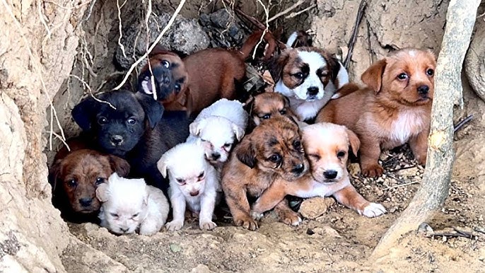 порожня печера