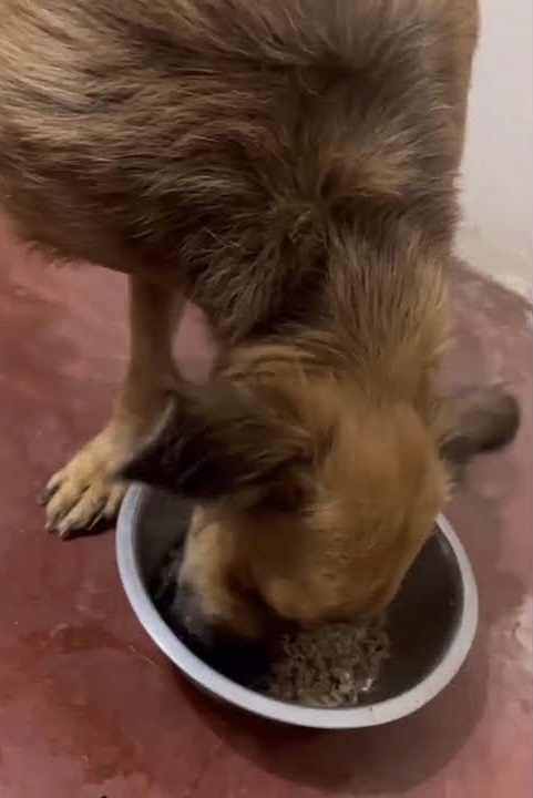 Оцінка стану в клініці