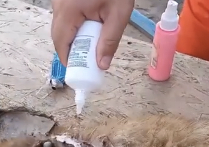 Щасливіші дні для Нали