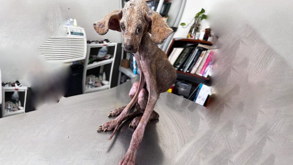 Еммануель після порятунку