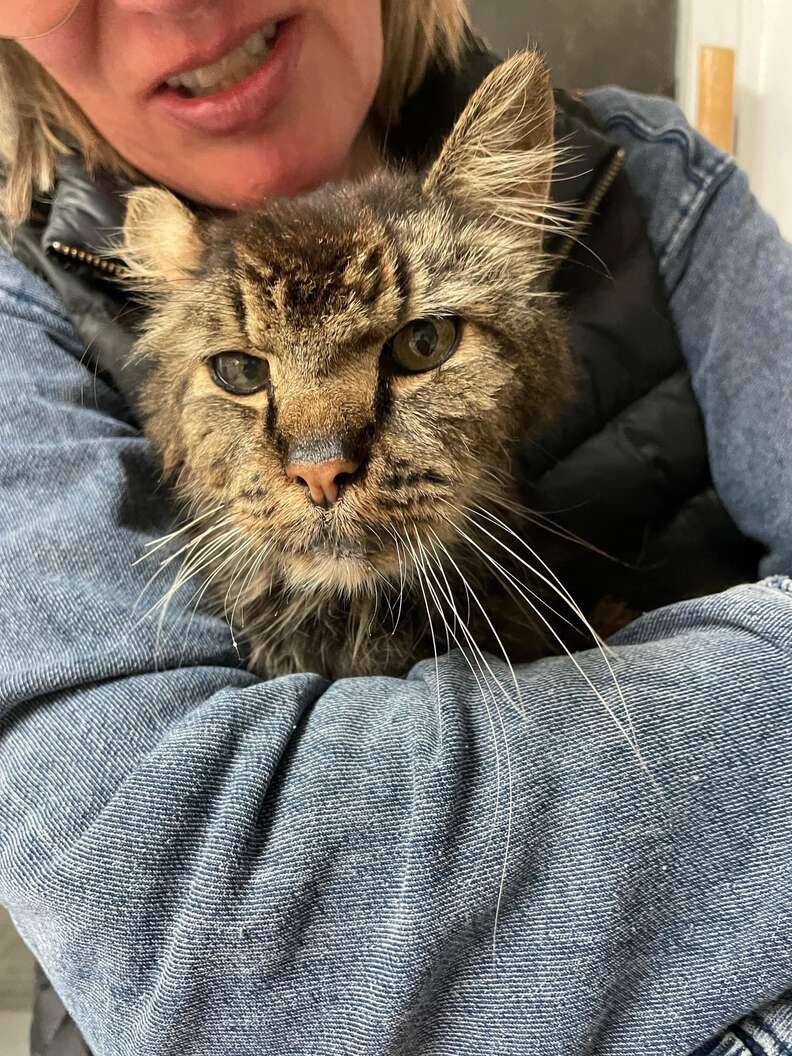 Руфус на коленях