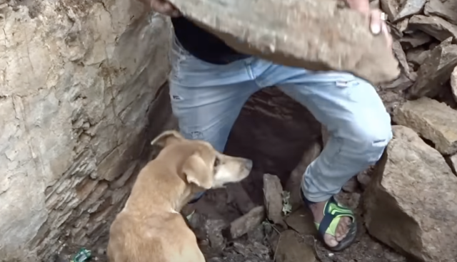 Rescue volunteer clearing rubble