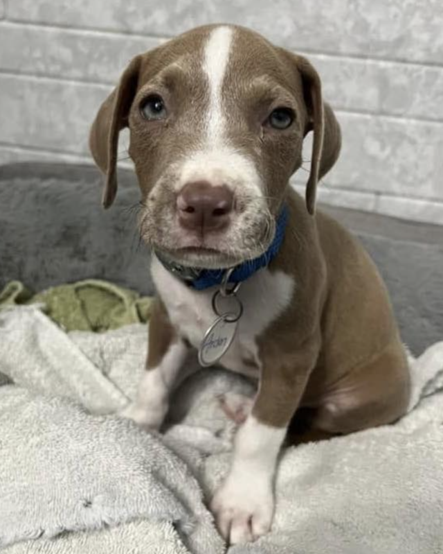 Гра й реабілітація