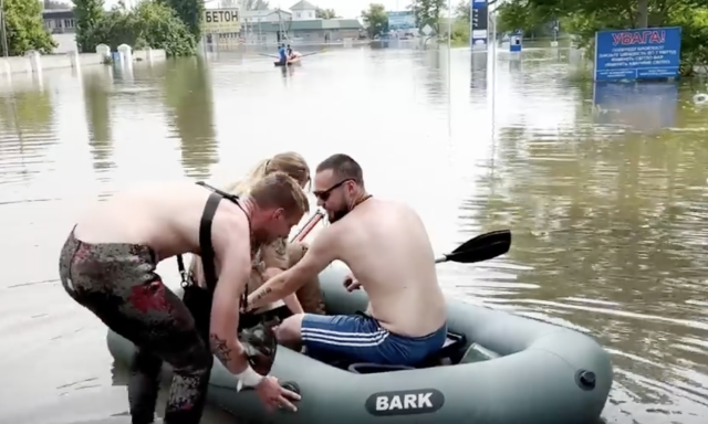 Собака на даху