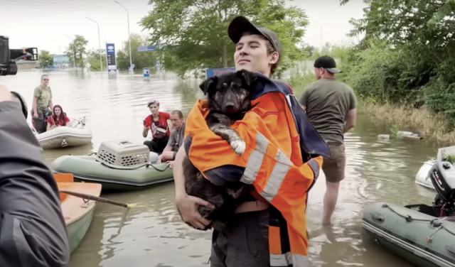 Ветеринарна клініка працює в нічний час