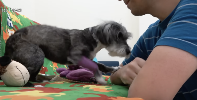 Maggie Mae healthy and happy