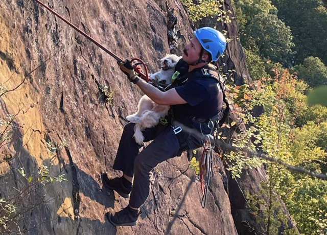 Скриншот спасательной операции