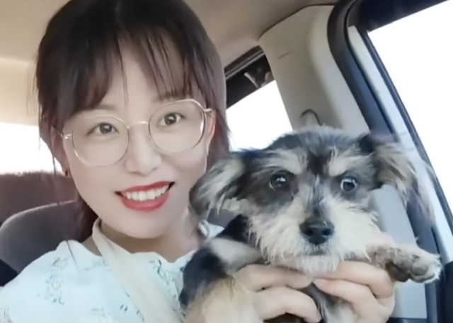 Ветеринарний огляд