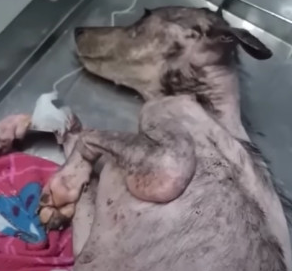 Анжела під час реабілітації