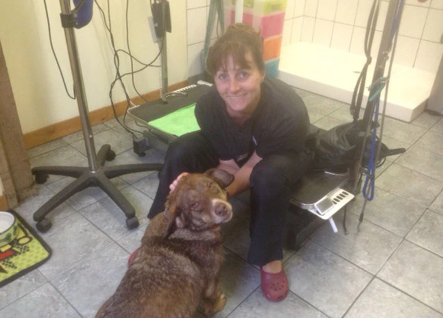 Дюк с новой семьёй