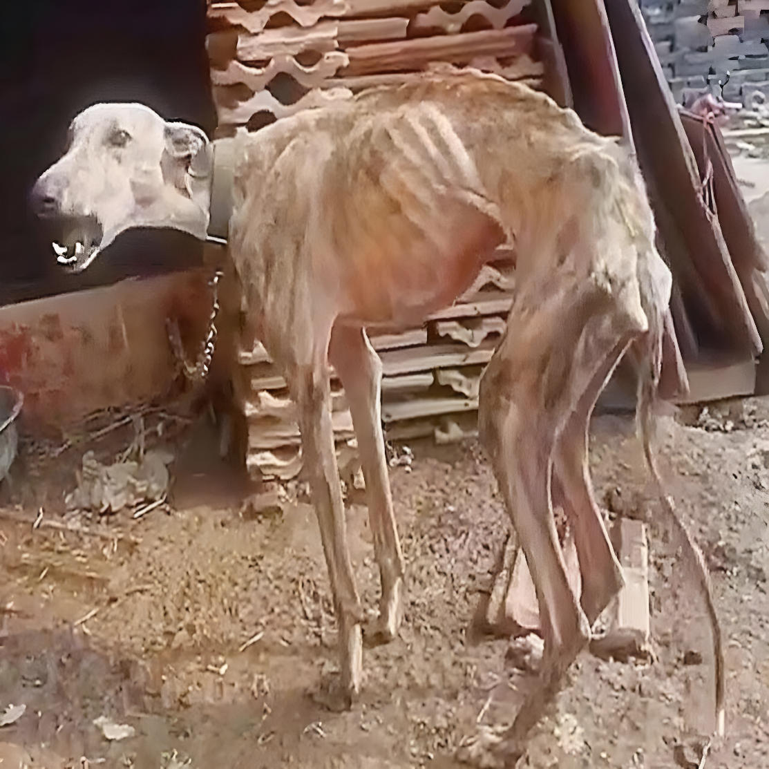 Луна — до порятунку