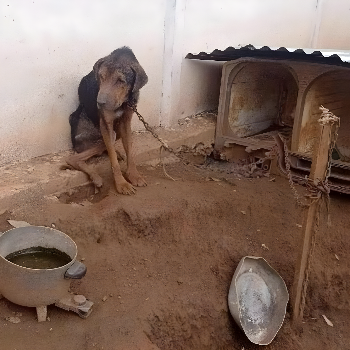 зображення заголовка