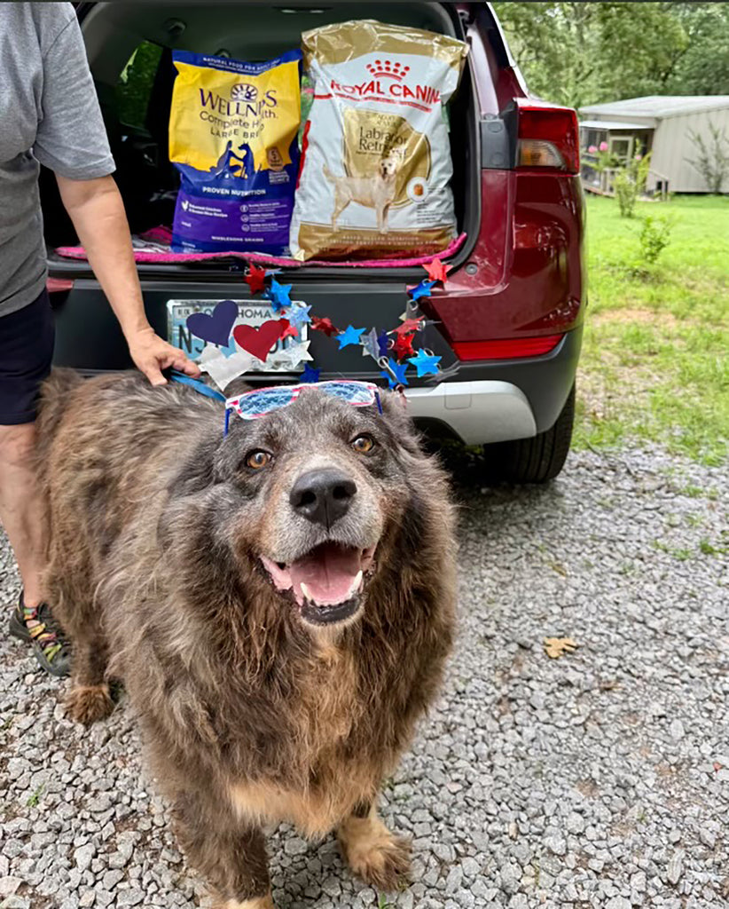 Беар у притулку