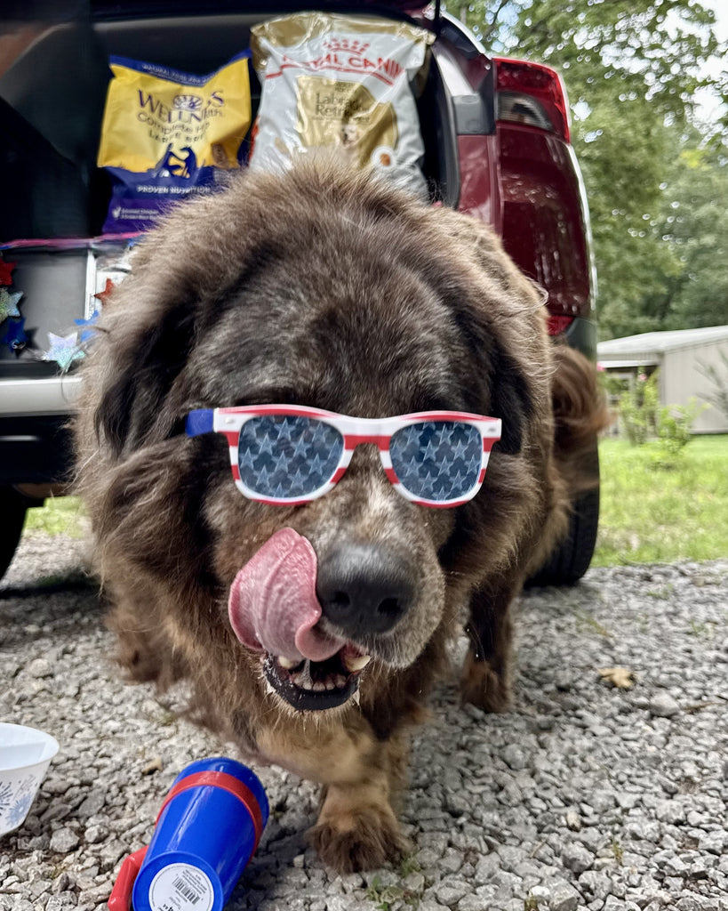 Беар з волонтерами