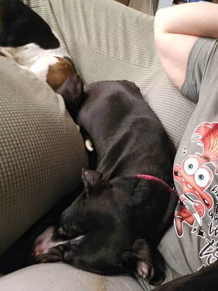 Линч на новом месте