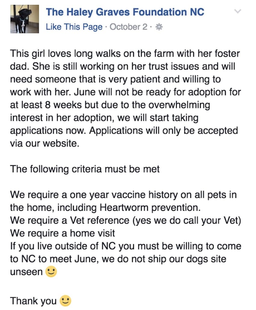 June Cash готова к усыновлению