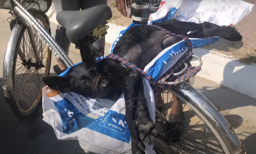 Спасатели на виду.