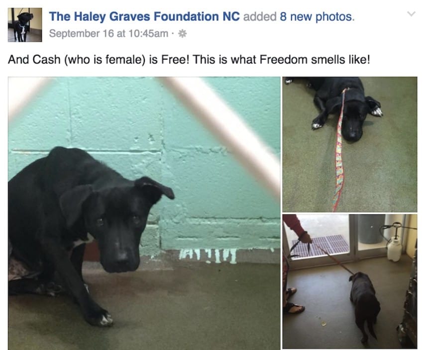 Преображение June Cash