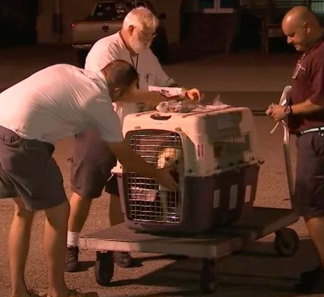 Ник и Эйрис