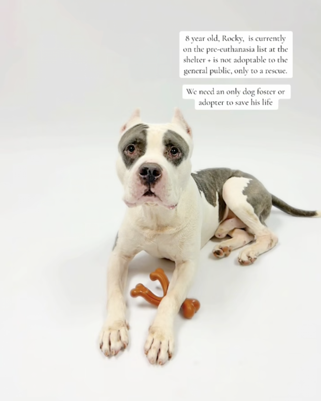 Рокки сейчас в безопасности