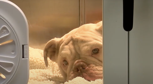 Неравнодушные граждане