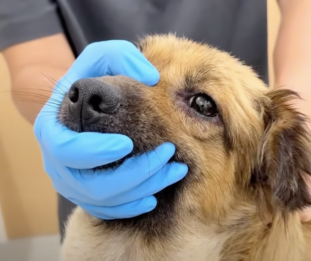 Уход после операции