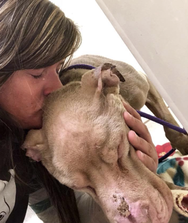 Уотсон с волонтером