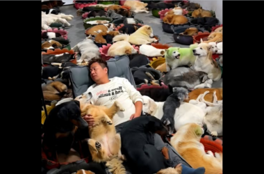 оли Шанс, потому что вы дали шанс ему…