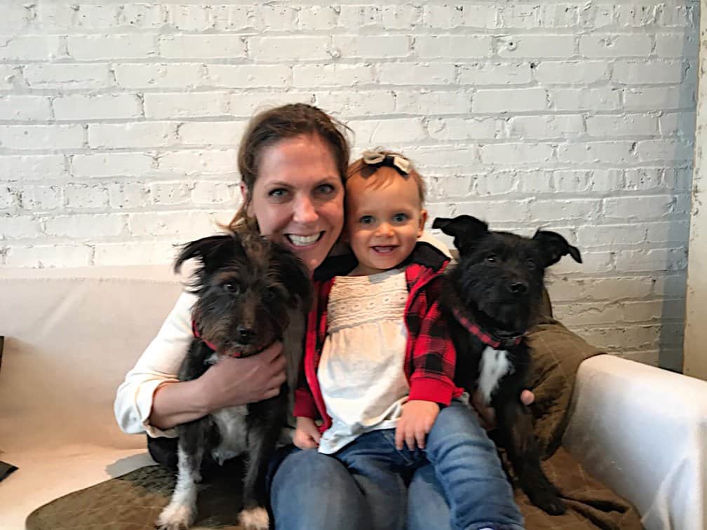 Трио Фонда Животных