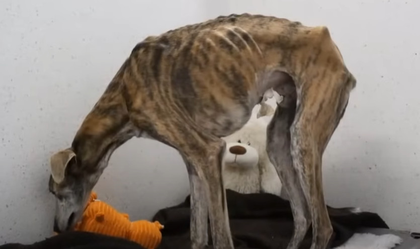 Глубокая связь между Берди и...