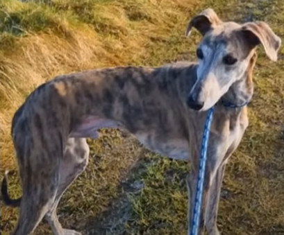 Дополнительное изображение из статьи